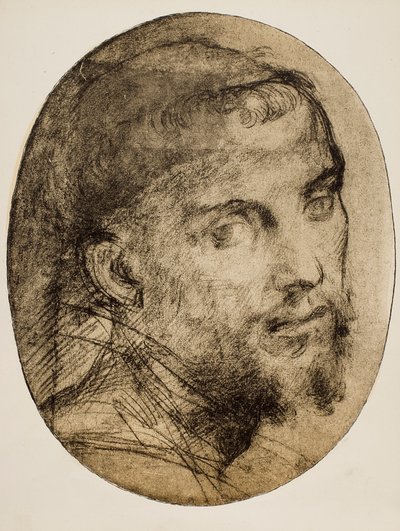 Study for a religious portrait by Andrea del Sarto